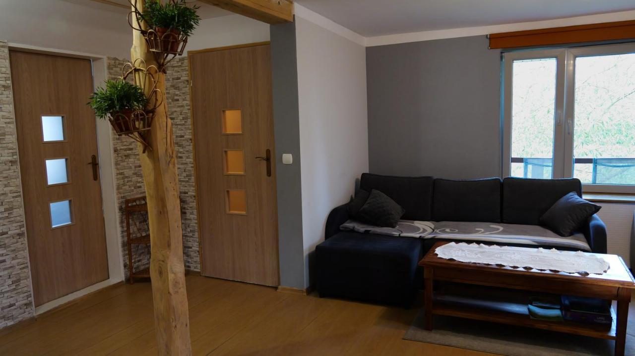Apartamenty Lucky-Ski Ustrzyki Dolne Buitenkant foto